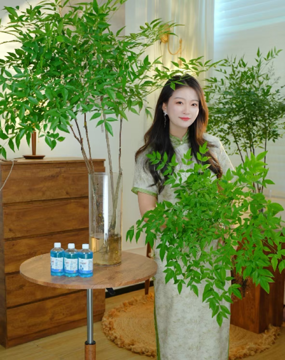 【带老桩根】南天竹水培盆栽绿植火焰红室内带根树苗客厅办公室盆景