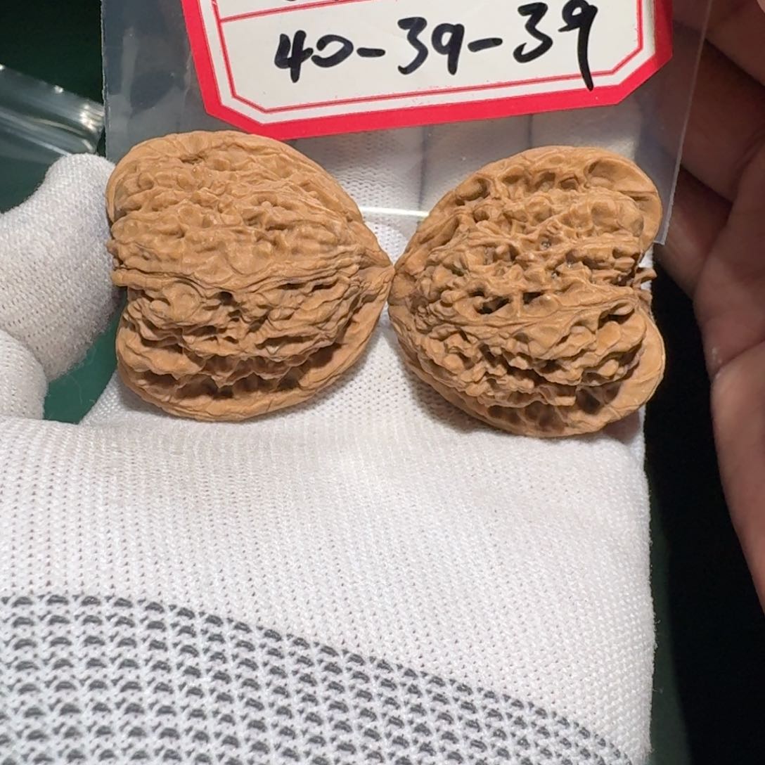 文玩核桃把件29号村将hs