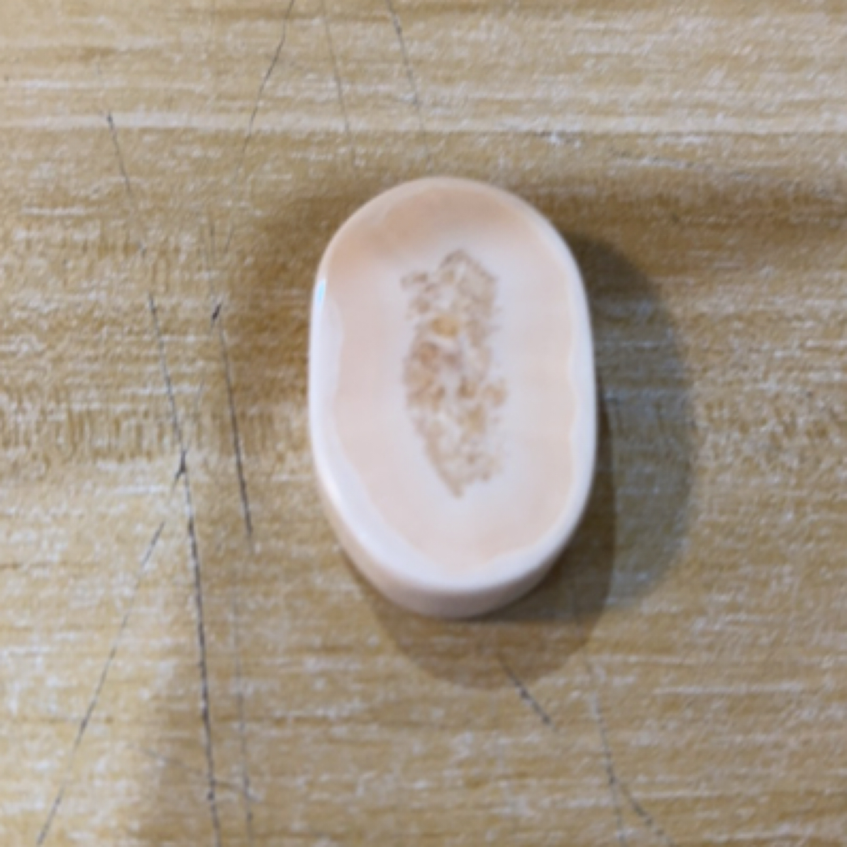 猛犸猛犸虬饼子 WT266