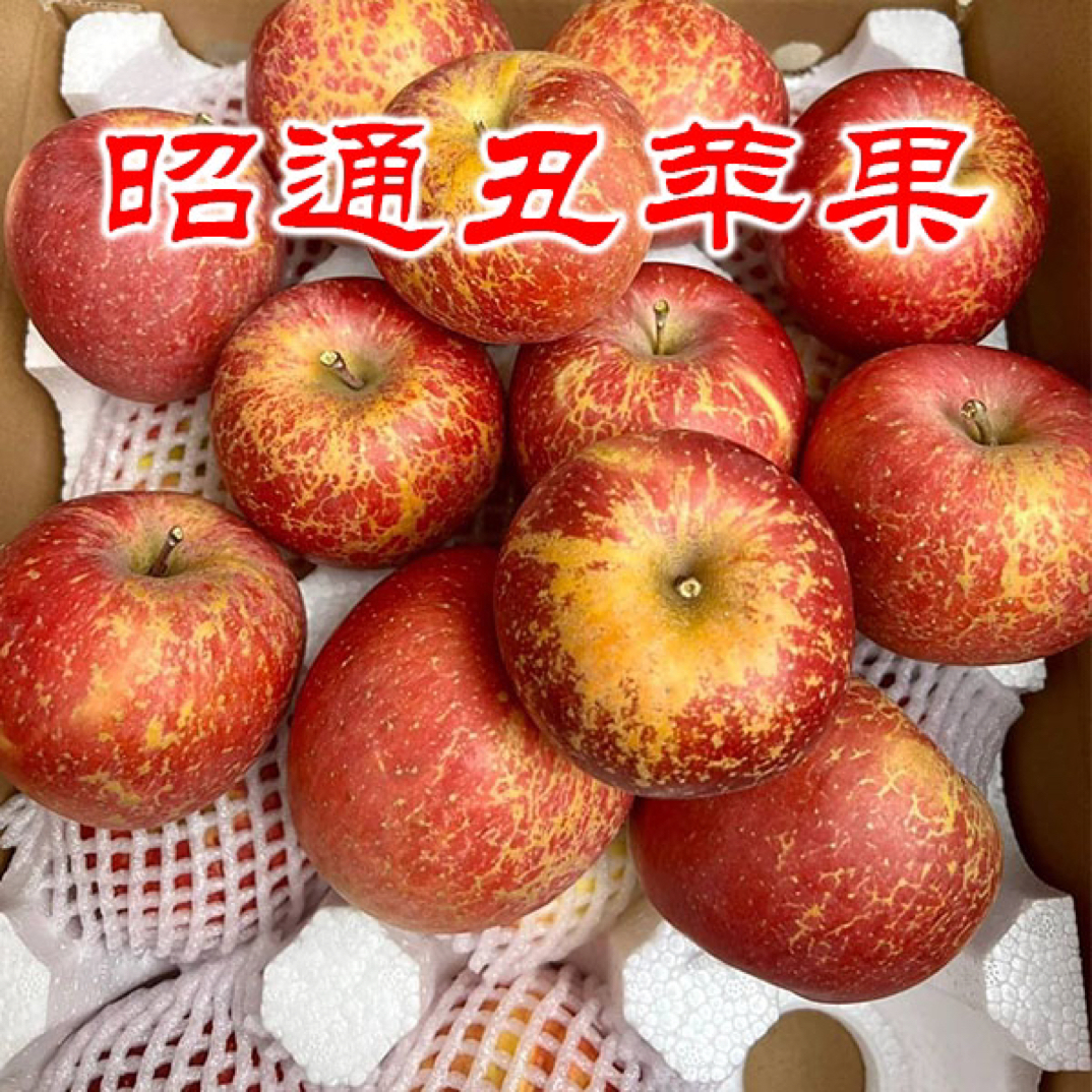 云南昭通冰糖心丑苹果新鲜现摘脆甜多汁当季水果云南丑苹果昭通