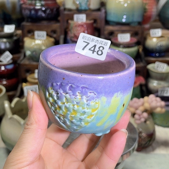 红陶内口径6高的6