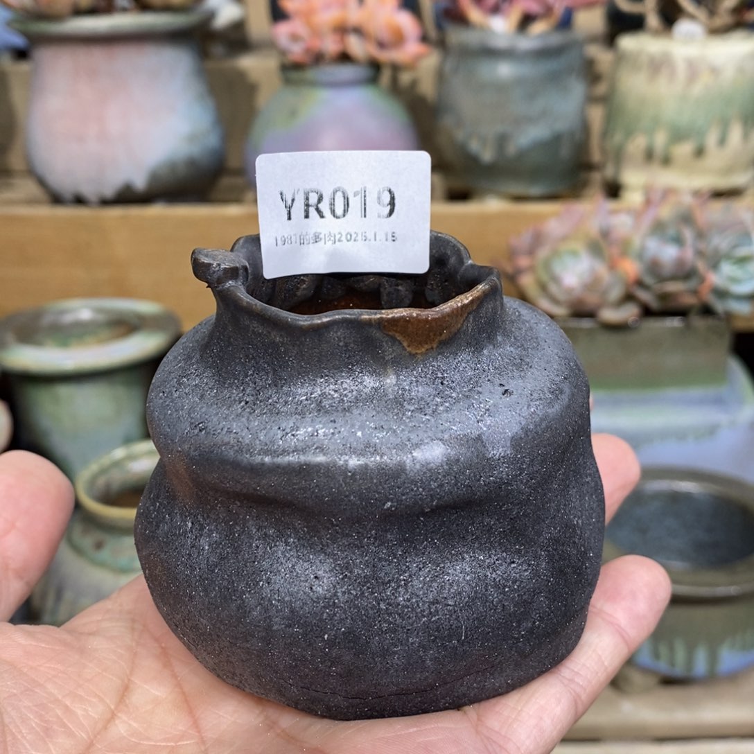 粗砂花盆冬**五YR019发货发货