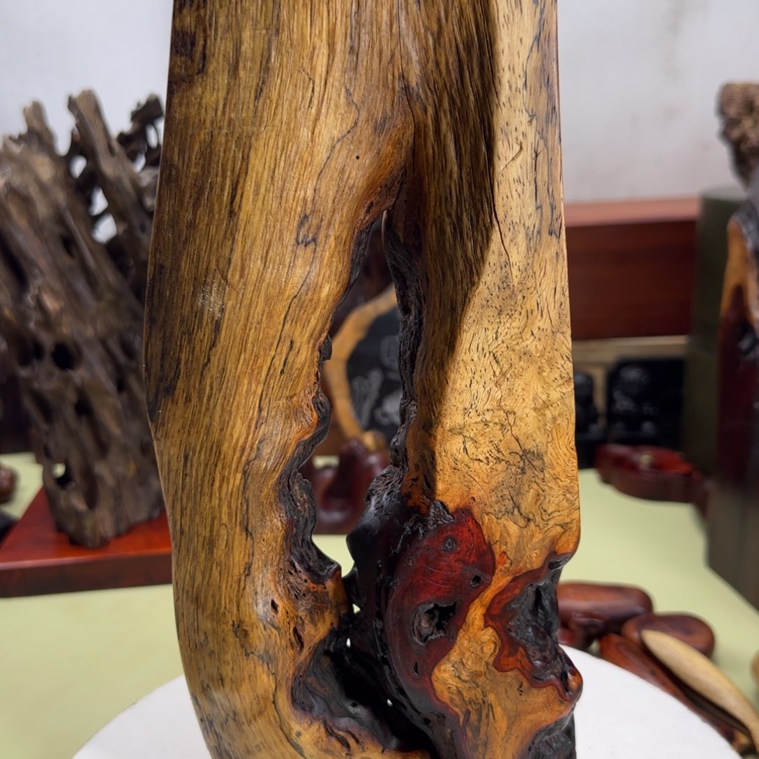 大果紫檀（缅甸花梨）潍***哥