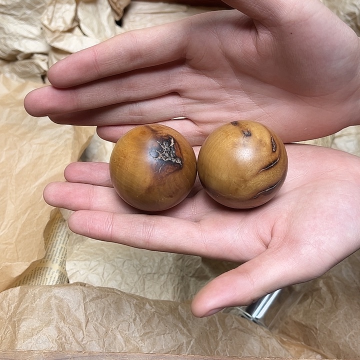 大叶紫檀（黑酸枝木类）