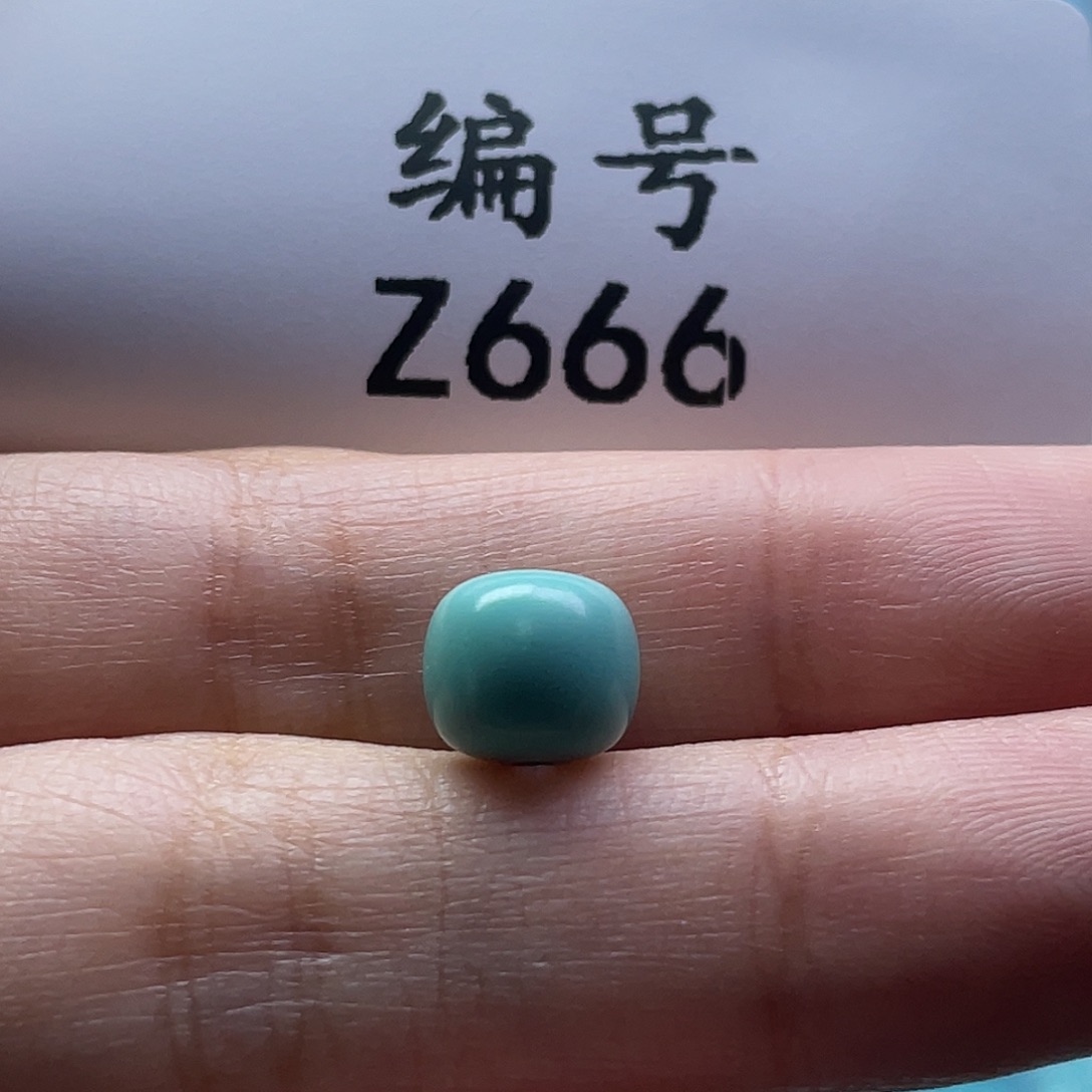 星***际绿松石未镶嵌颈饰