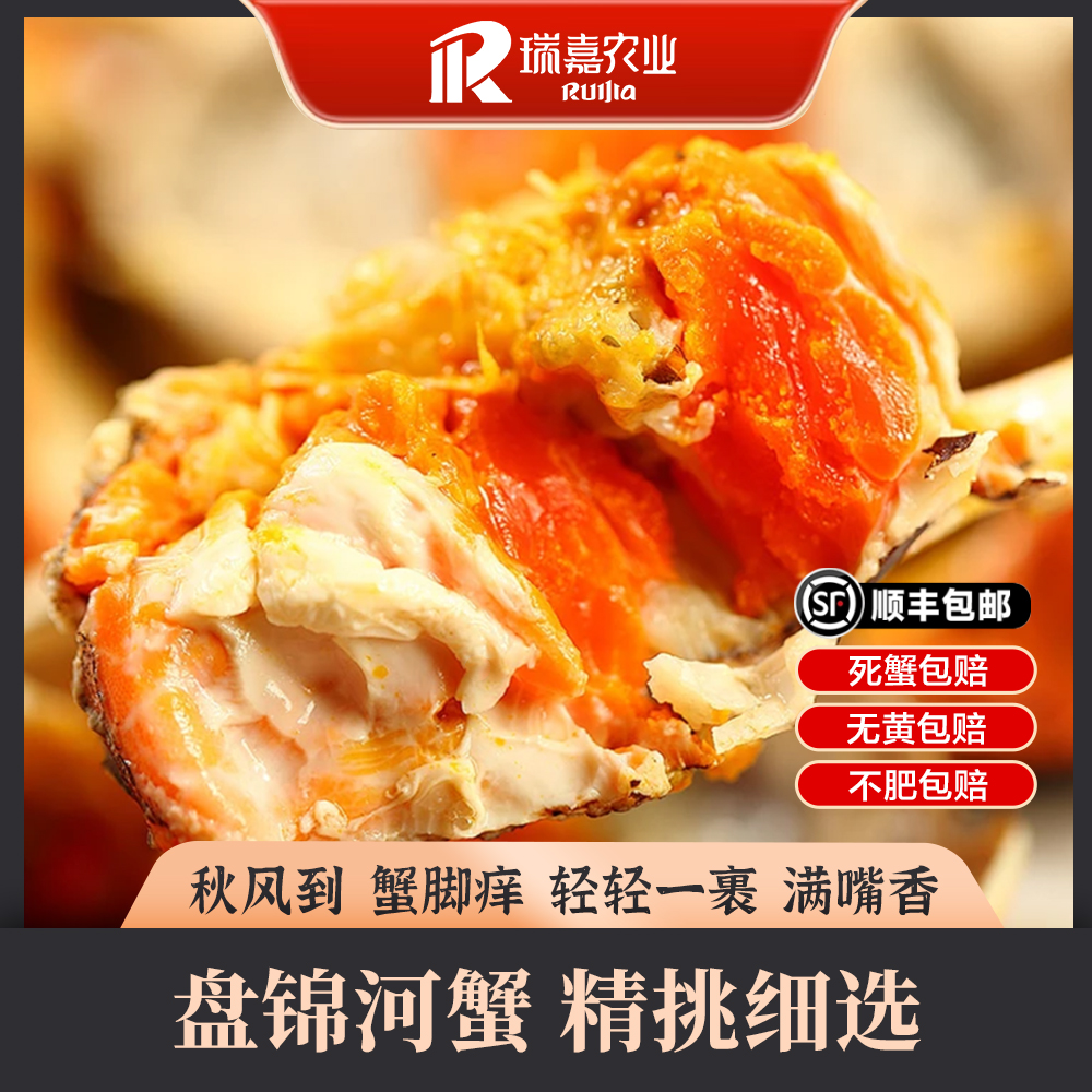【活蟹】大全盘锦河蟹1.3-1.5两母 2斤  鲜活发货