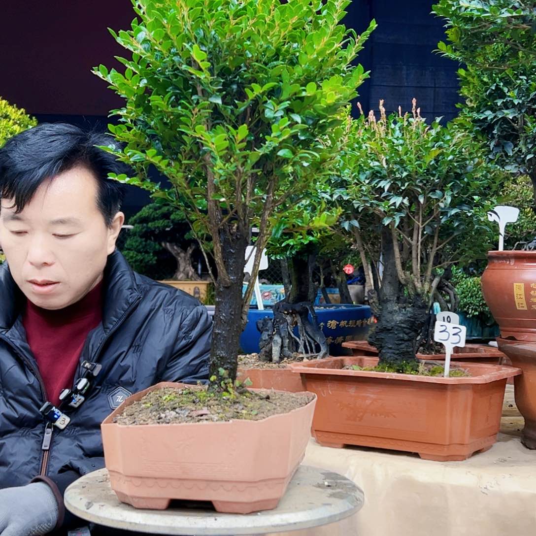 以实际为准沙**生12345678