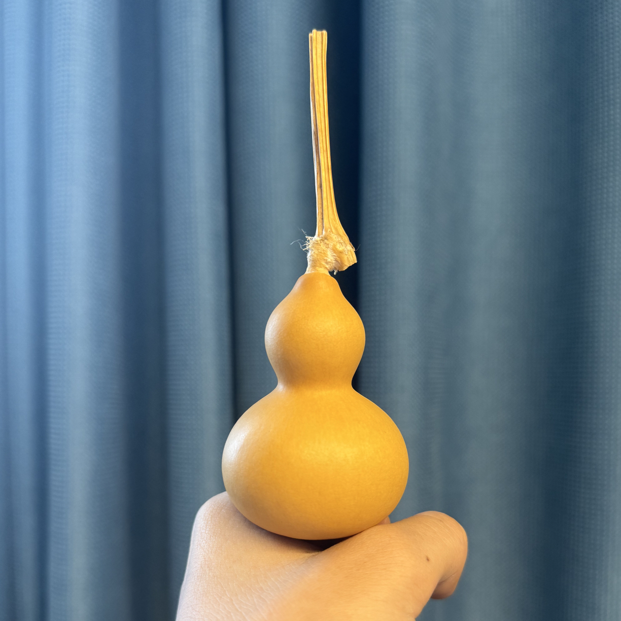 1天然小葫芦手把件带龙头可盘玩的文玩葫芦