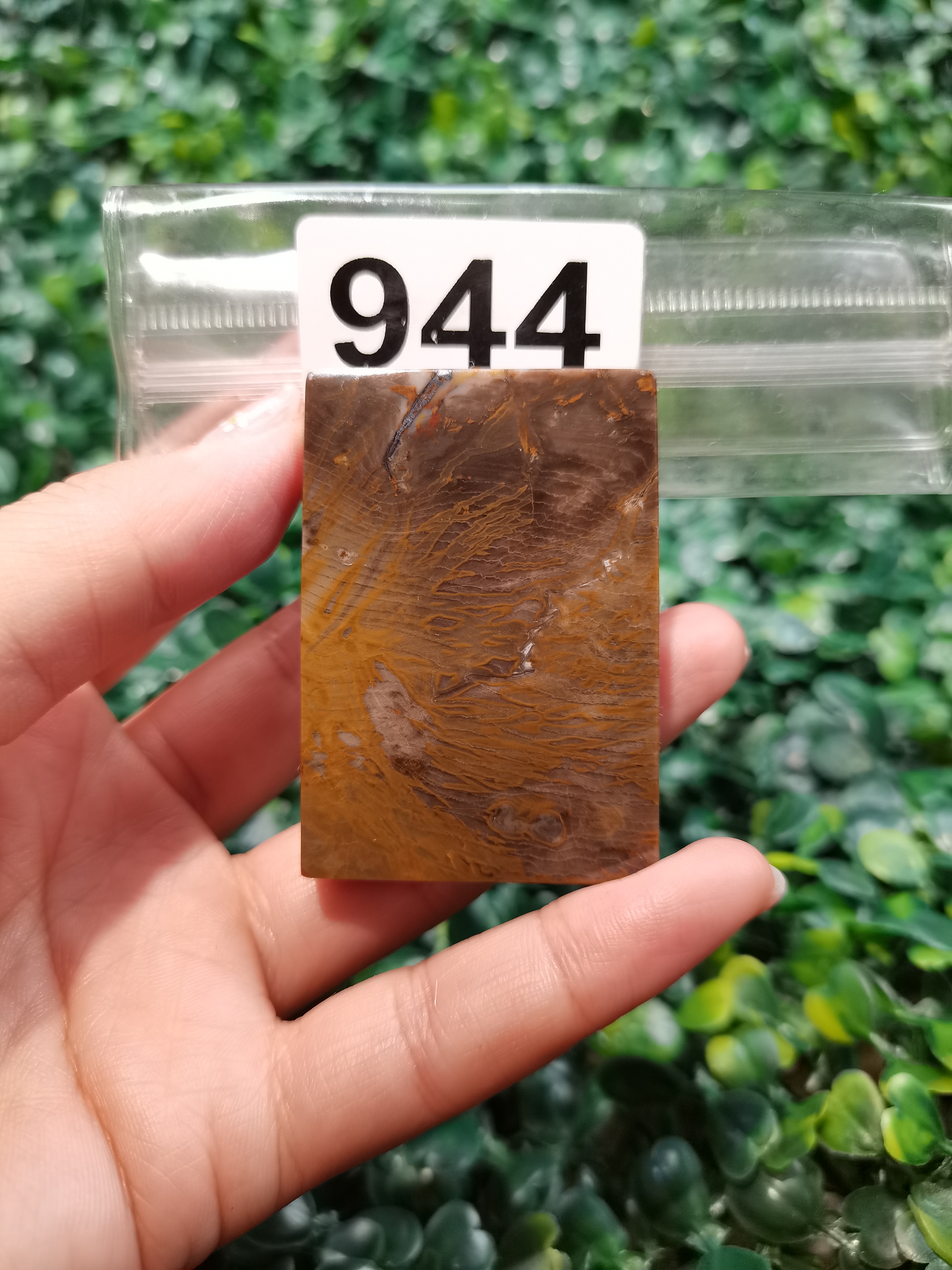 天然北票硅化玉牌子长：55mm宽：38mm厚：10mm