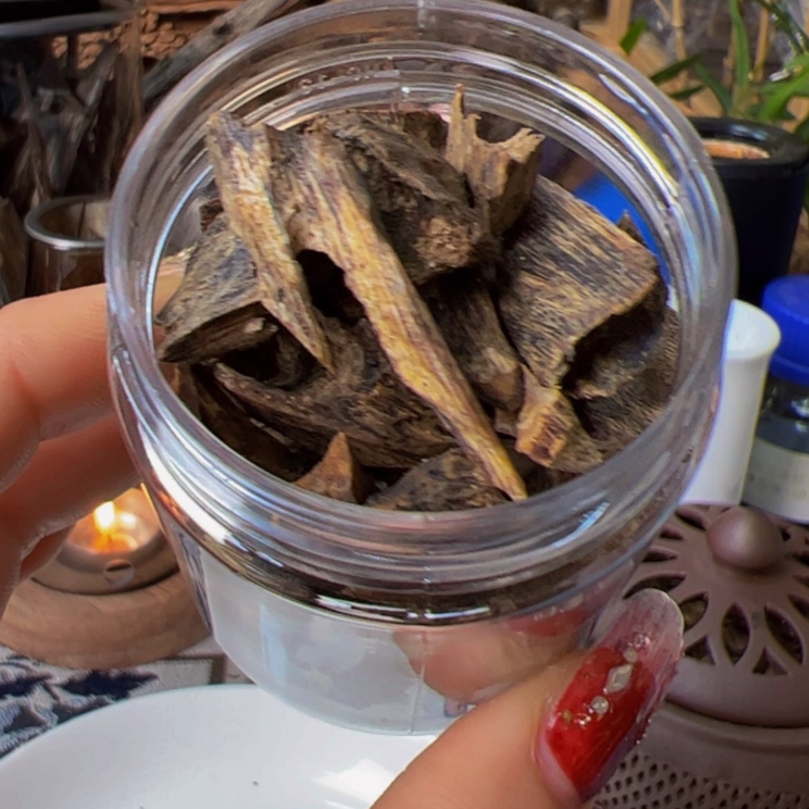 【闪购商品】沉香手把件奇楠油叶子老块料30克