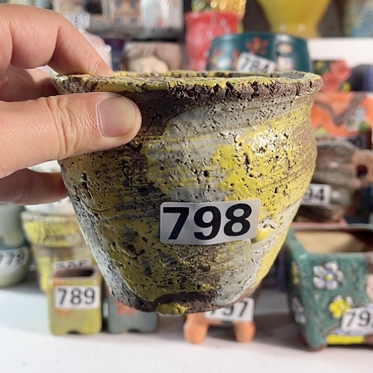 红陶多肉植物花盆