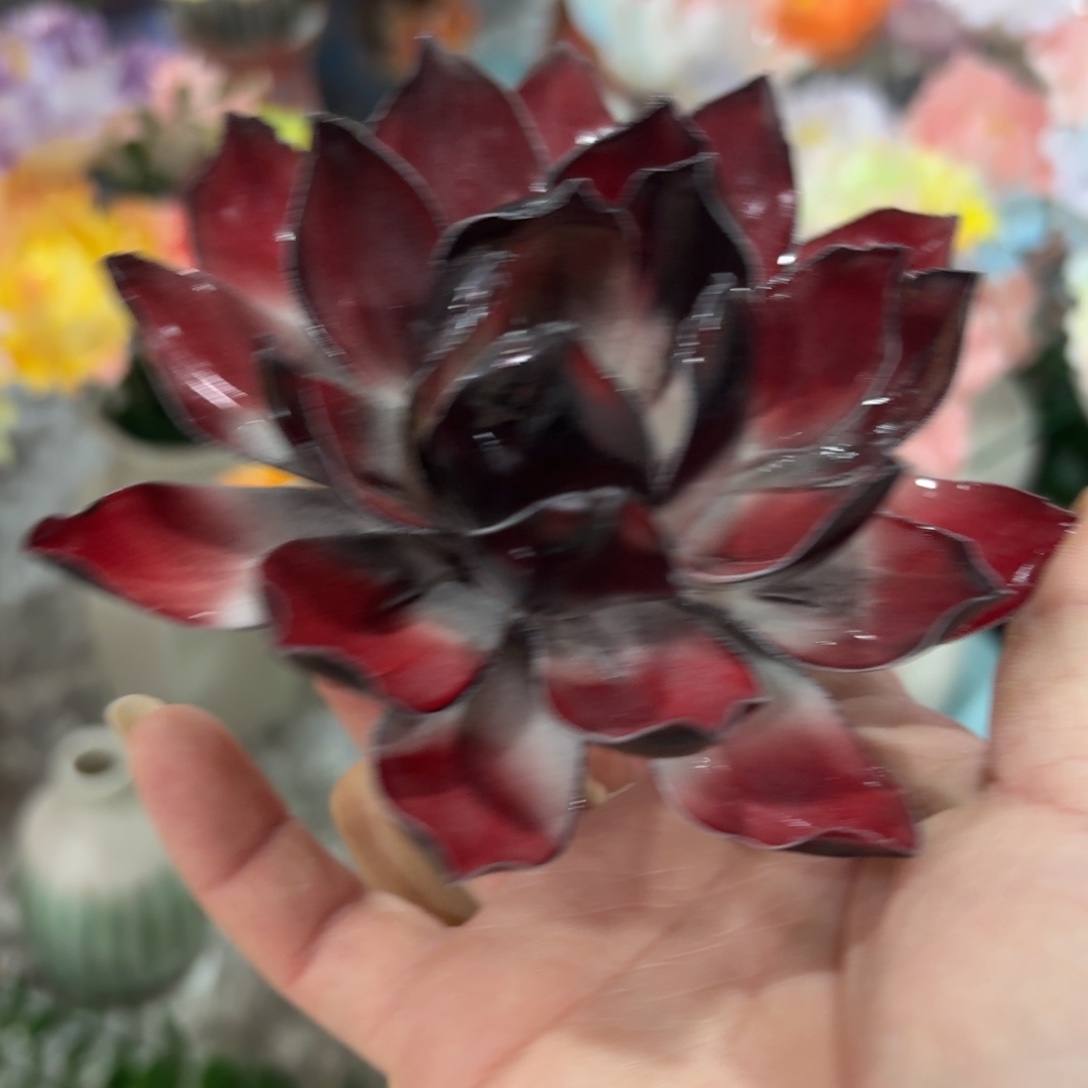 陶瓷花拍满20元发货，退款拉黑