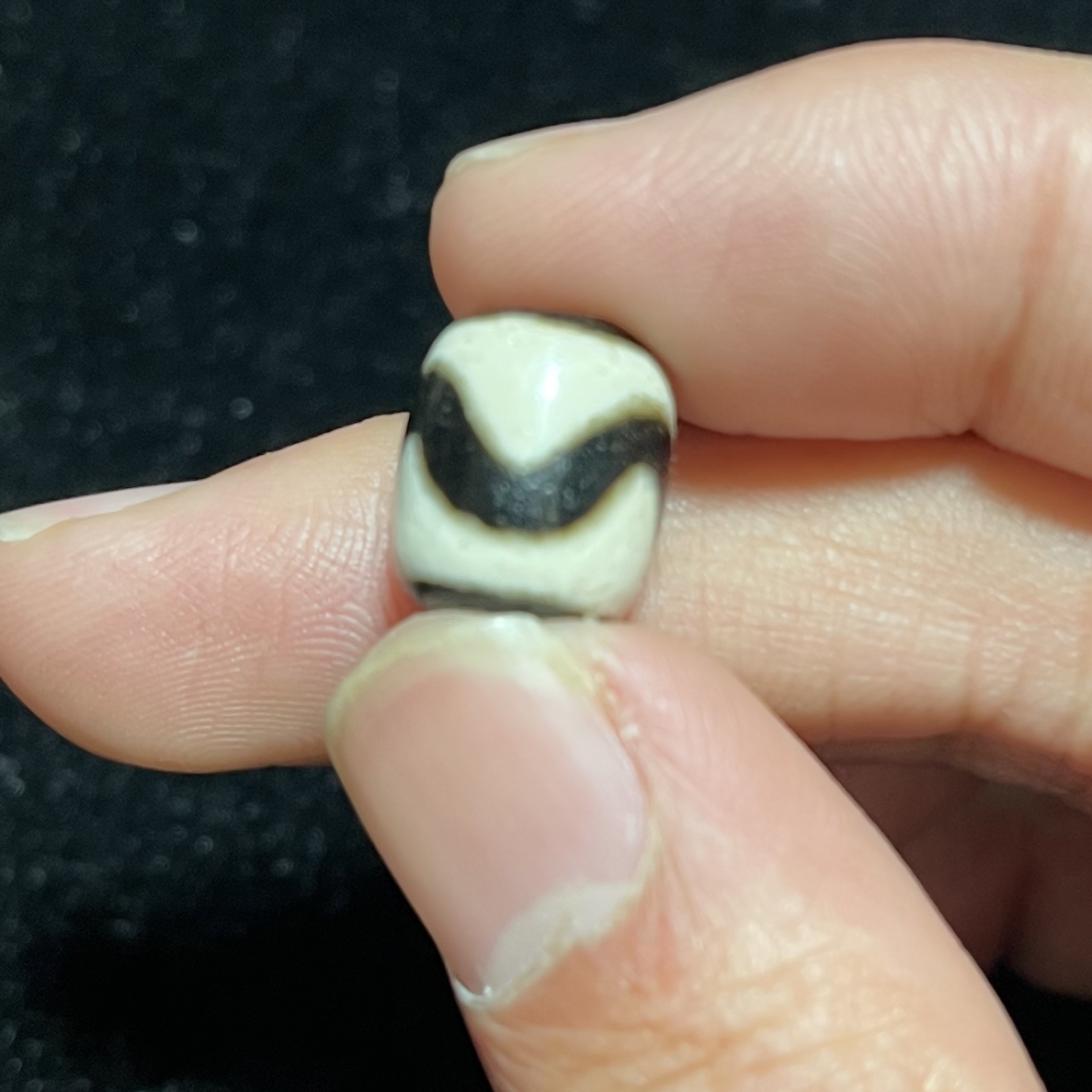 12mm天然虎牙达洛单颗