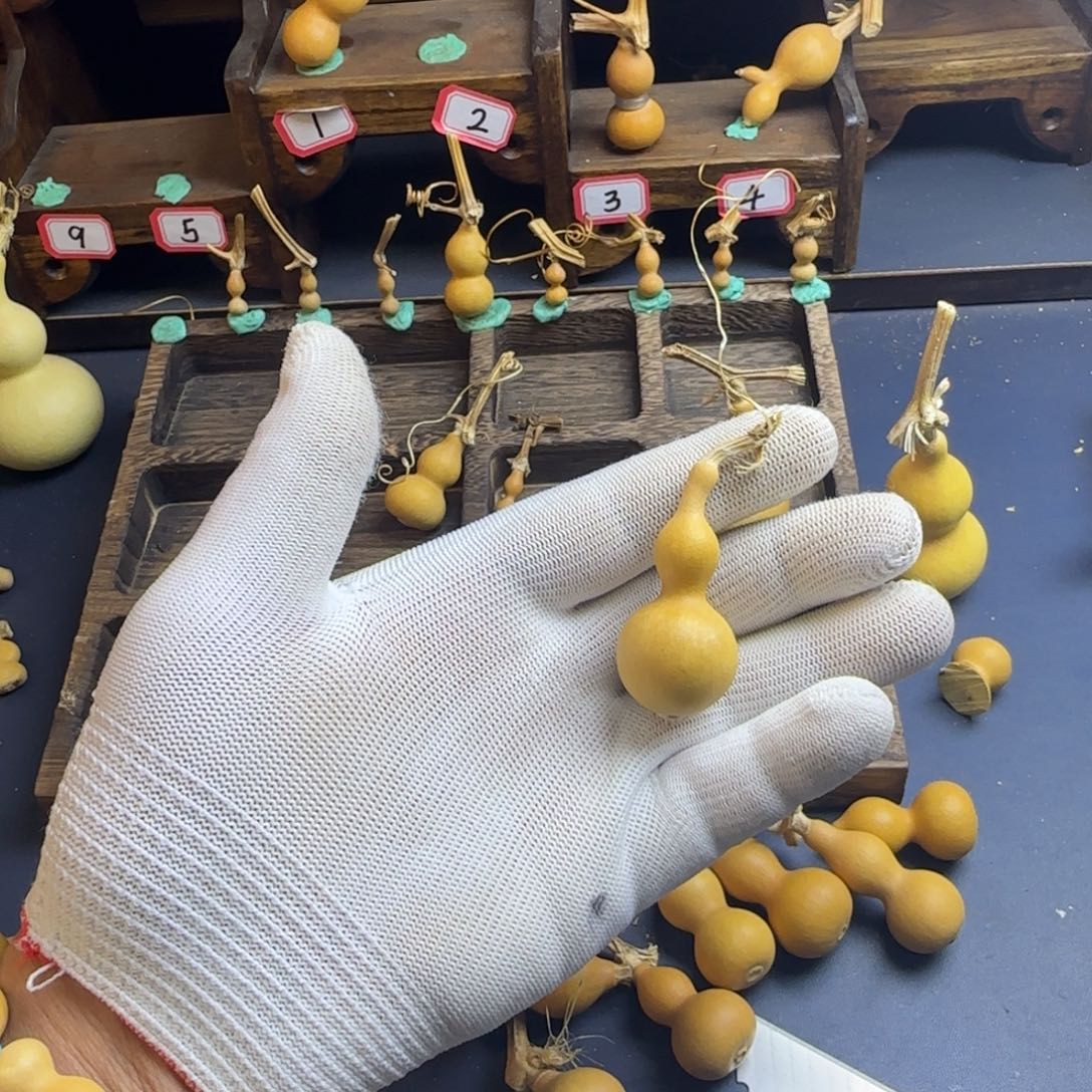 对***条我是一个人的人生观价值观世界观的