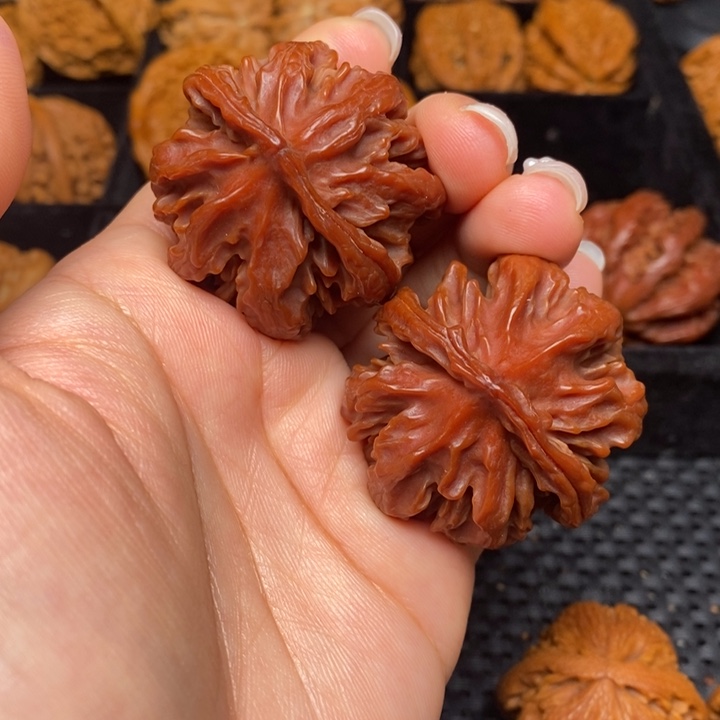 秦岭野生文玩核桃28