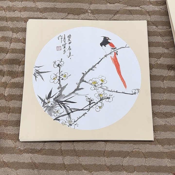 国画花鸟的翅膀是白色和38.38