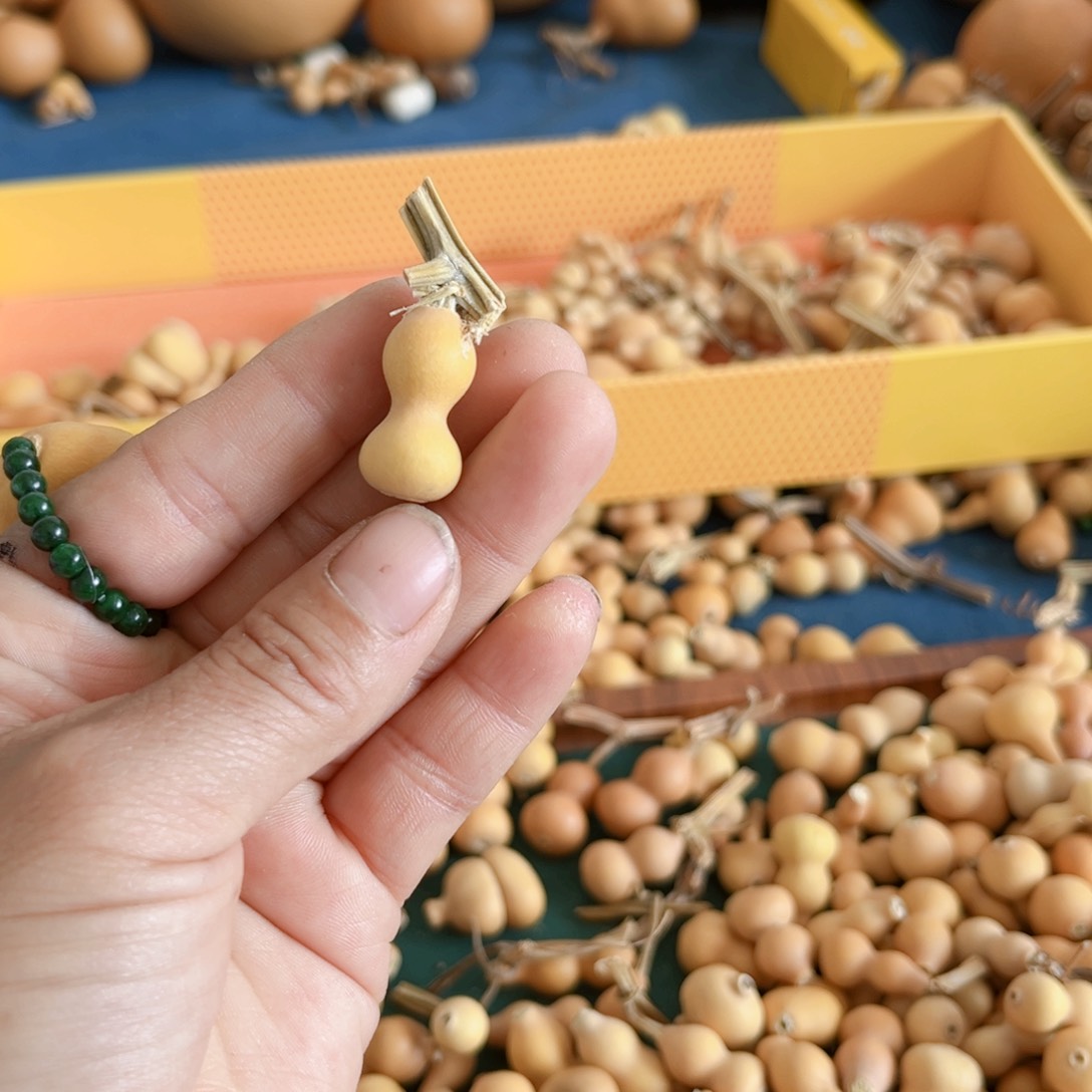 可****^葫芦葫芦hlhlh葫芦宝宝