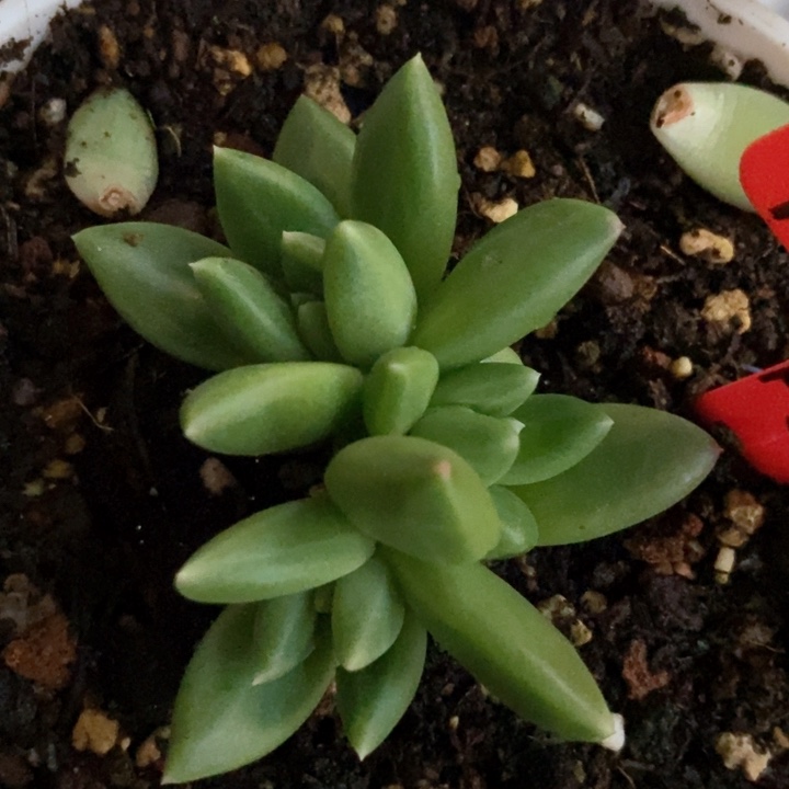 忘*我是真的很喜欢