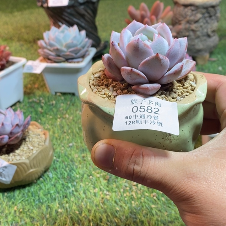 0582啊啊啊啊啊啊啊啊啊啊啊