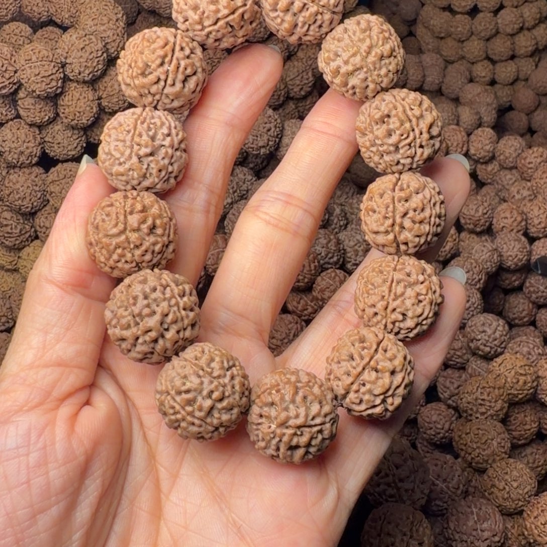 手串金刚菩提6瓣卡19尺，22号