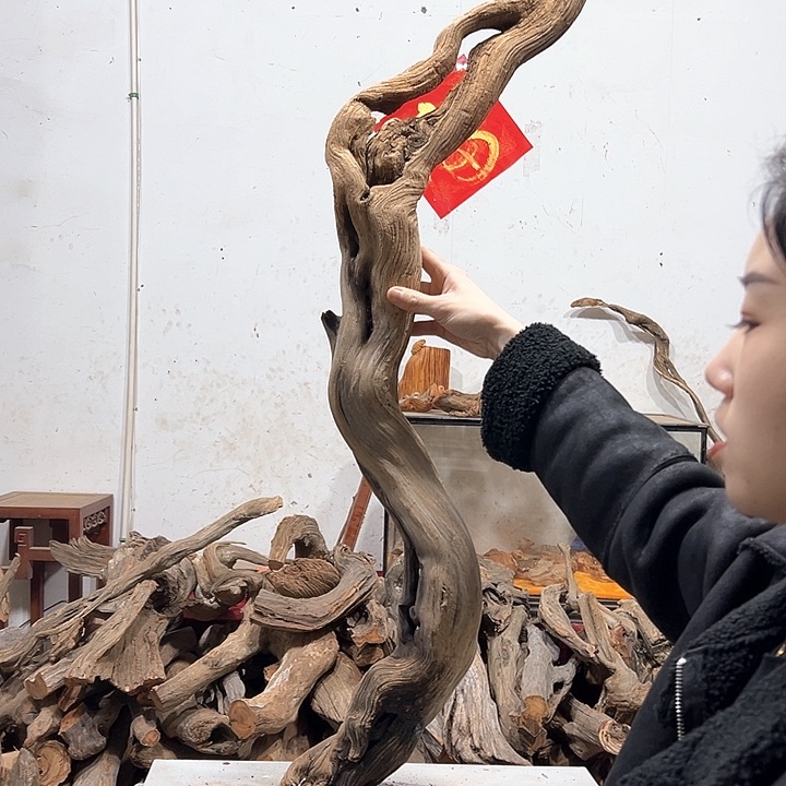 柏木不**问我们的生活也是如此的