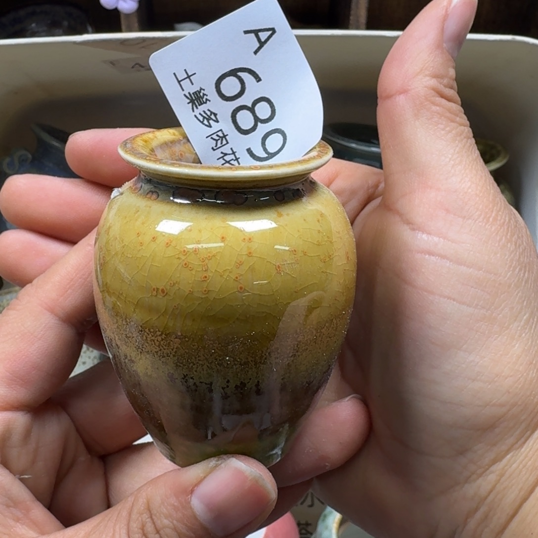 咕***.陶瓷艺术品设计与制作