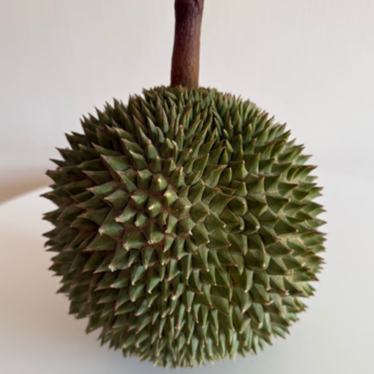 树熟金枕榴莲399一箱（13斤）【下单默认开果】