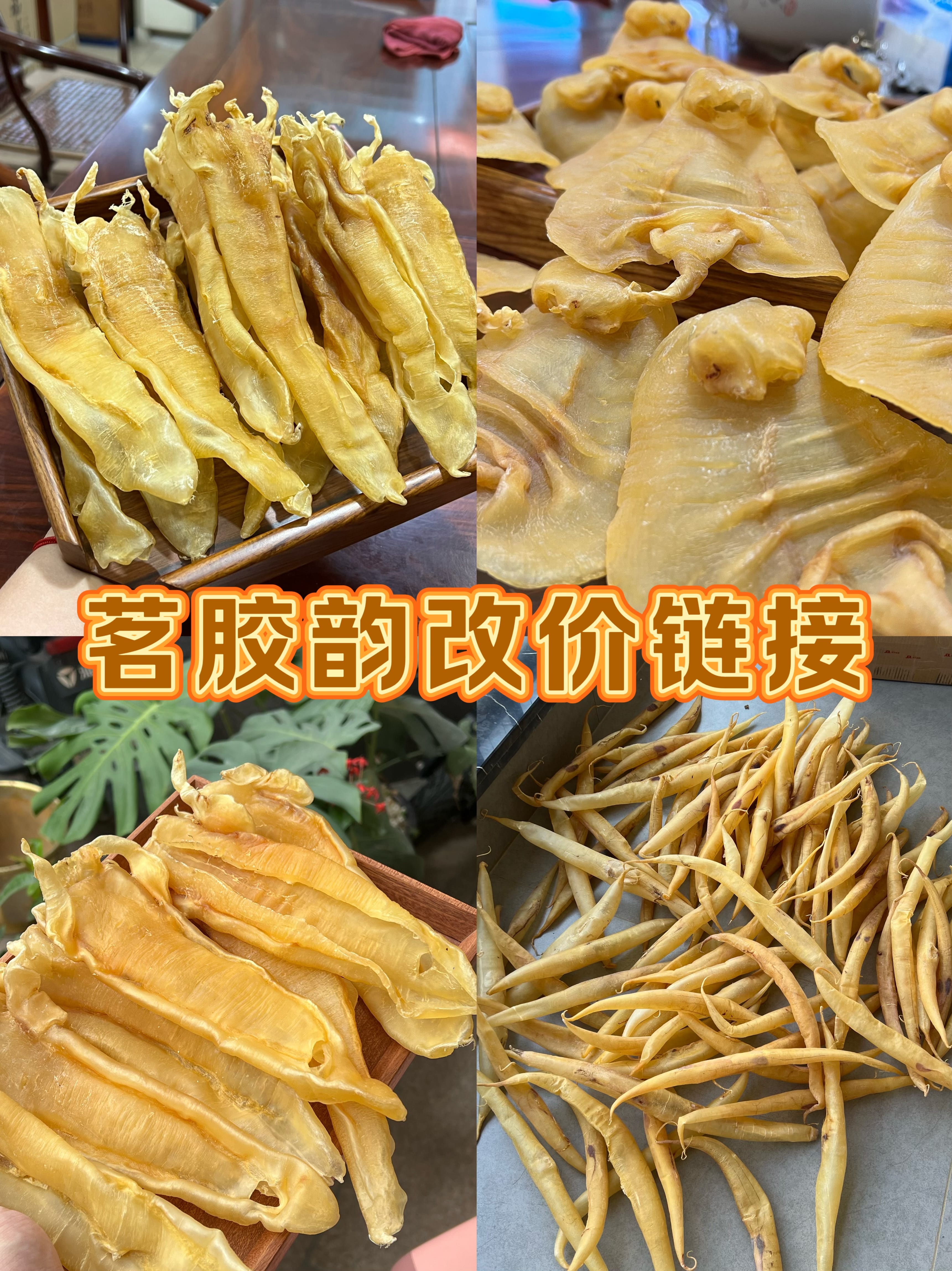 多种类赤嘴鱼胶花胶深海滋补干货