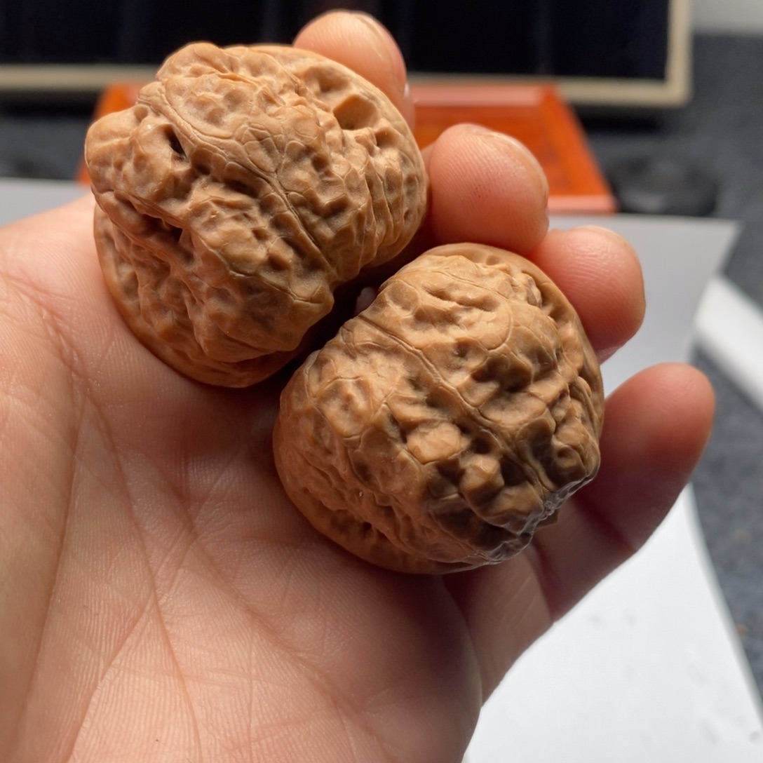 南***写好的我真的好喜欢这个节目