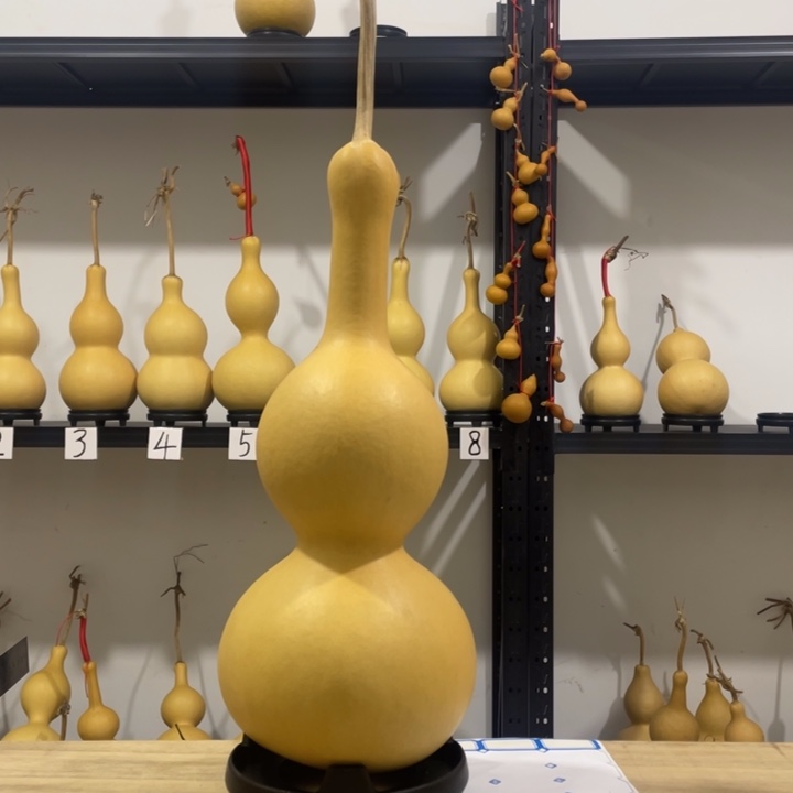 萍****长嘴46肚厚皮八宝