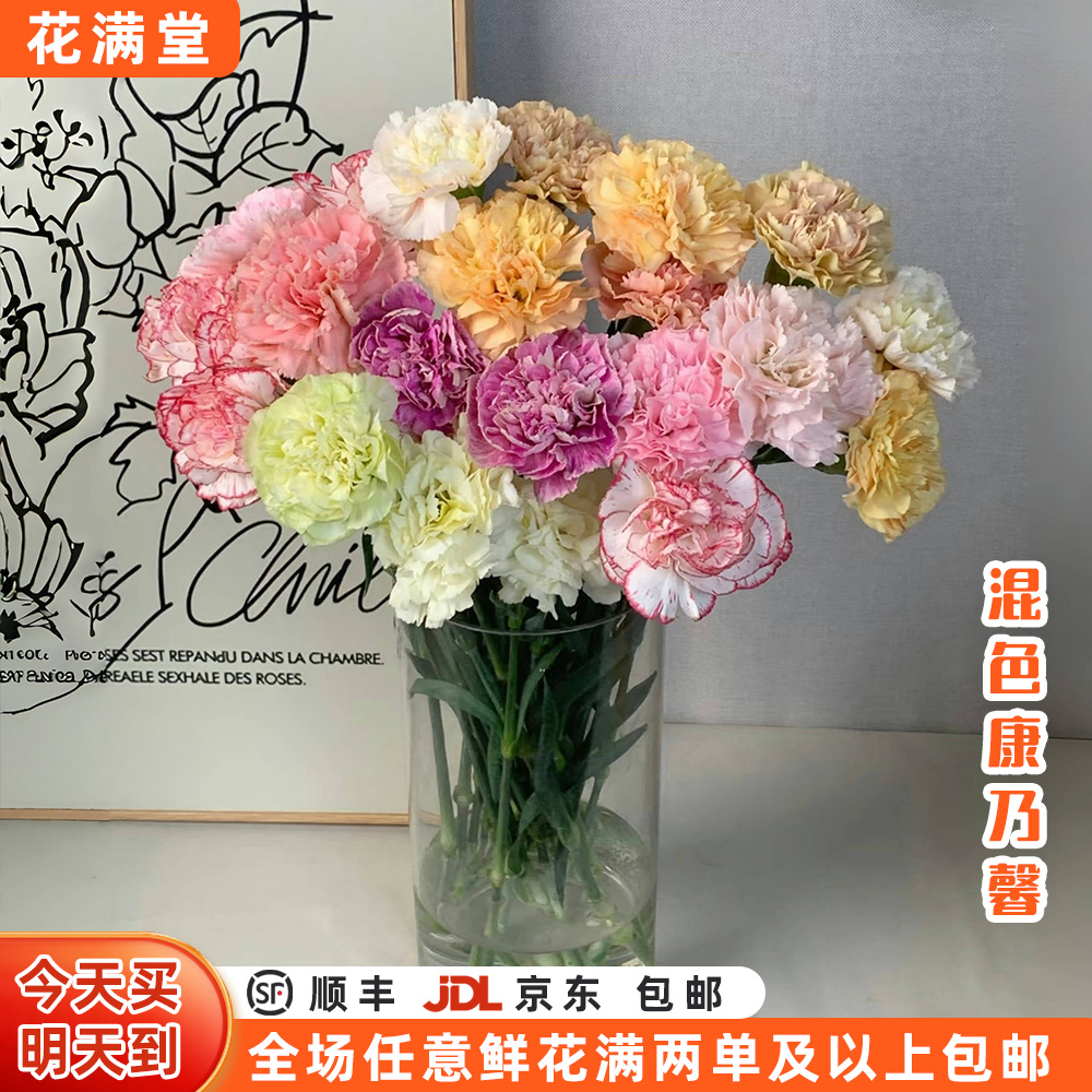 特惠【次日达·十全馨意】十支单头混色（3色以上）康乃馨·鲜切花·全场两单顺丰包邮·基地直发·批发·次日达