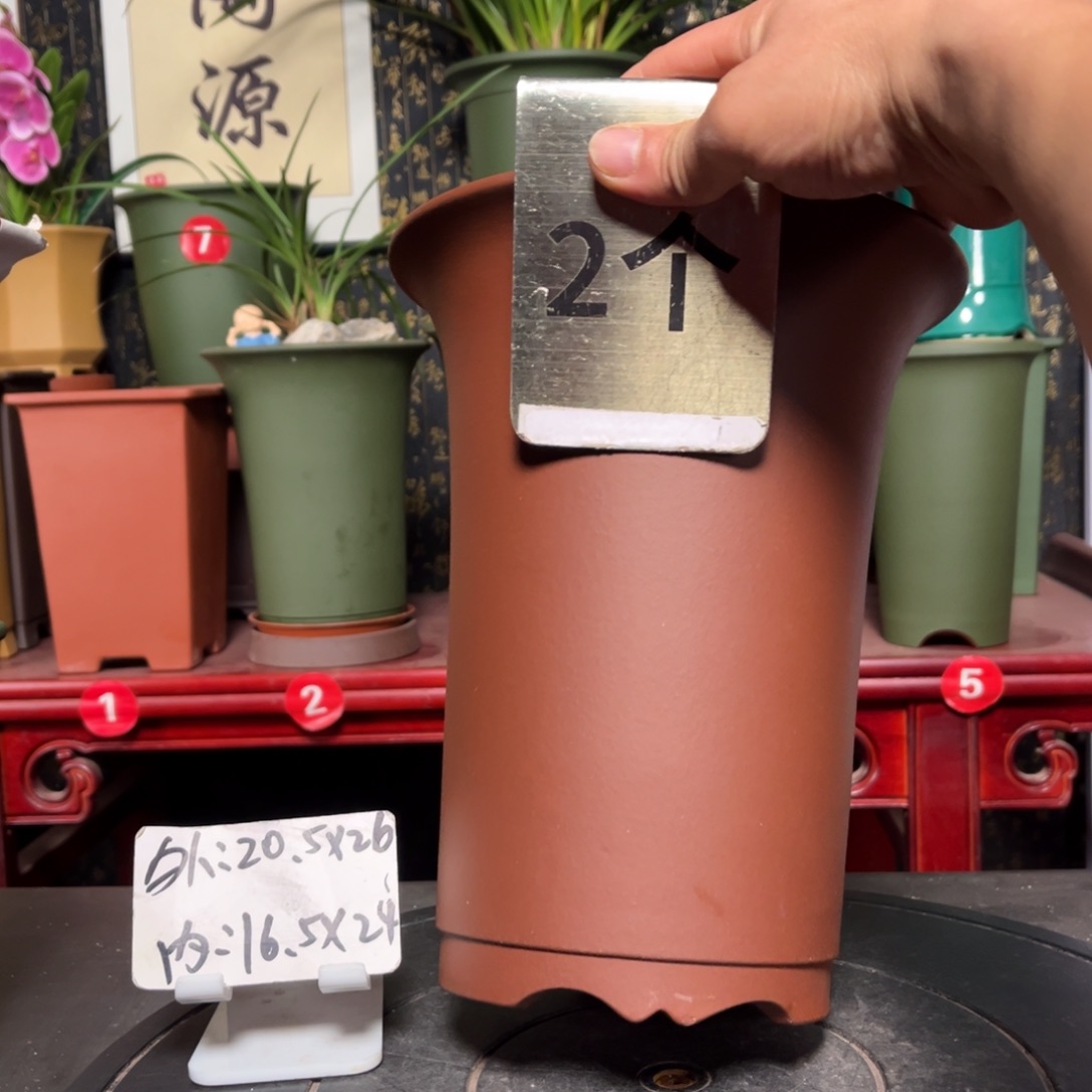 紫砂花盆紫砂花盆