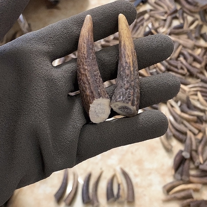 姜***豆银S925鹿鹿。      