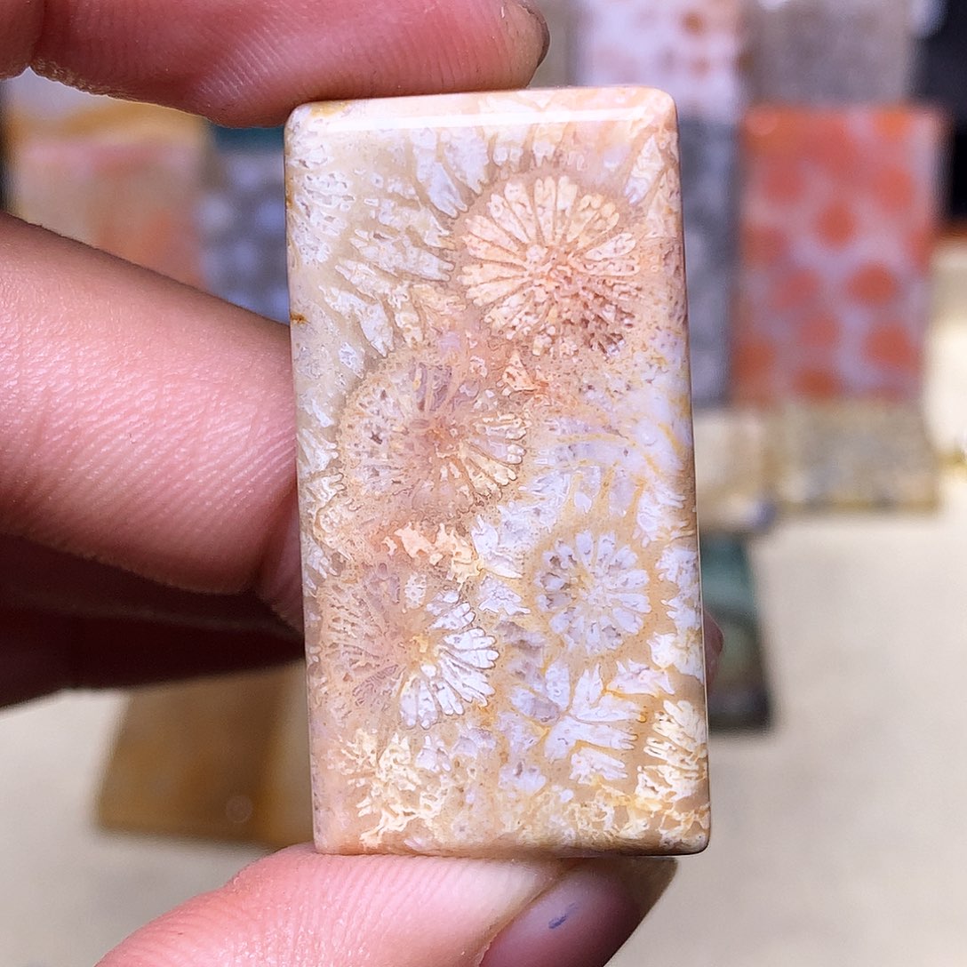 硅化玉珠宝奇石合金丽*