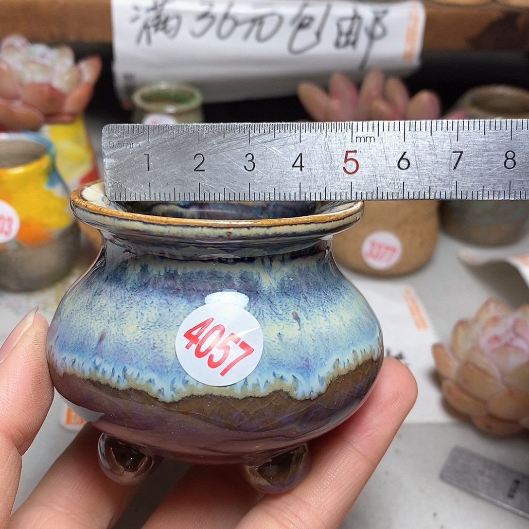 红陶拍5送一个小