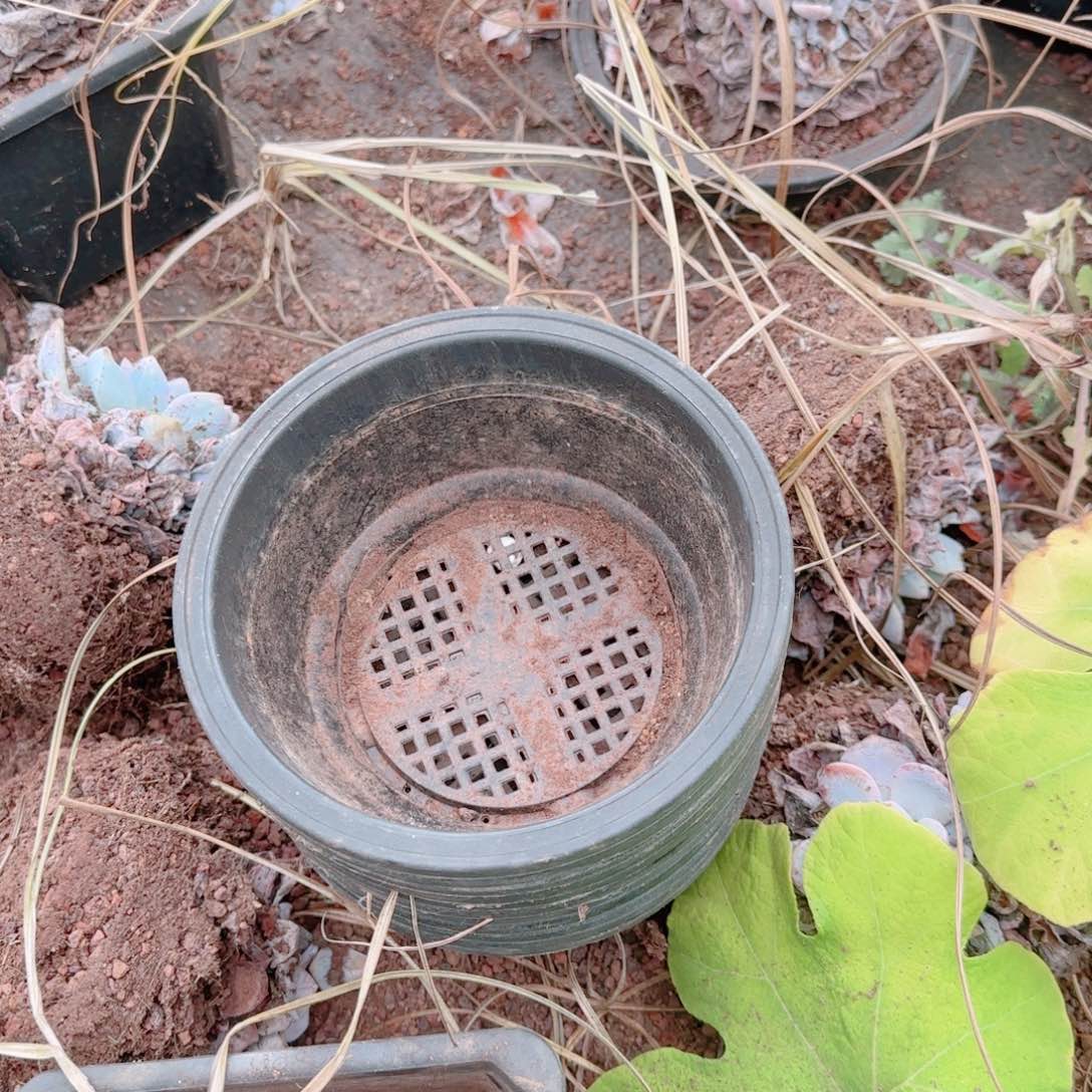 林***星50个盘包邮出一个包国际