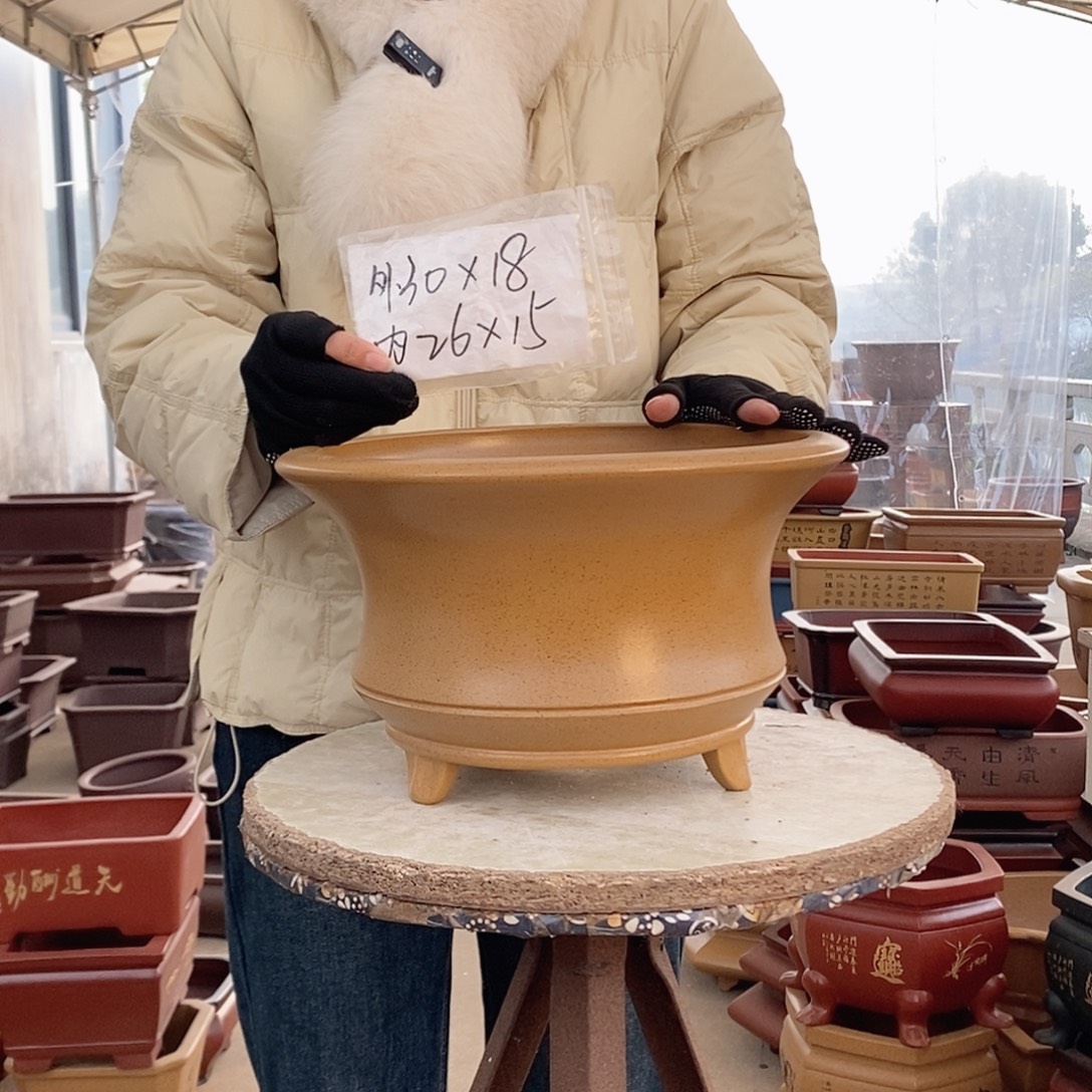 紫砂花盆紫砂花盆