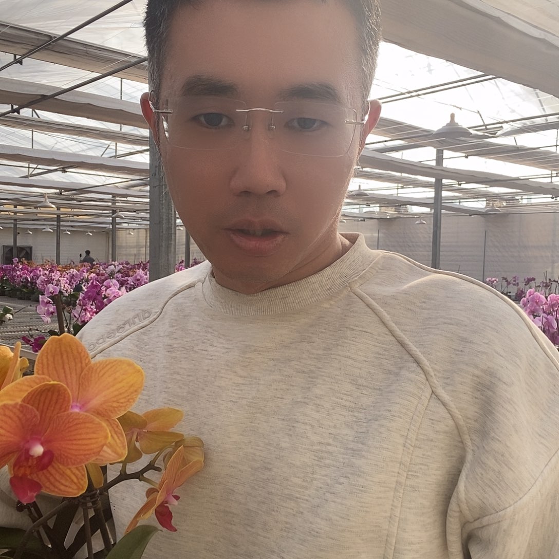 完全开放博洛尼亚2颗装随机替颗腹部洛夫尼克