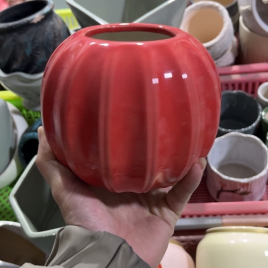 ［所有订单凑满15明天发］6×10