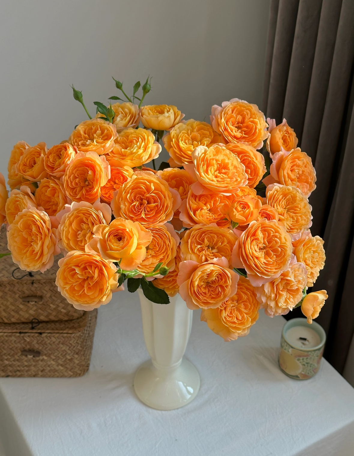 【果汁阳台多头玫瑰】一单中通 两单升级空运 云南生活鲜切花