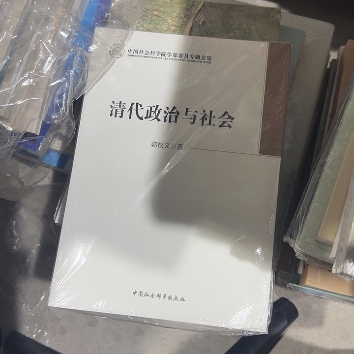*****清代政治与社会瑕疵书