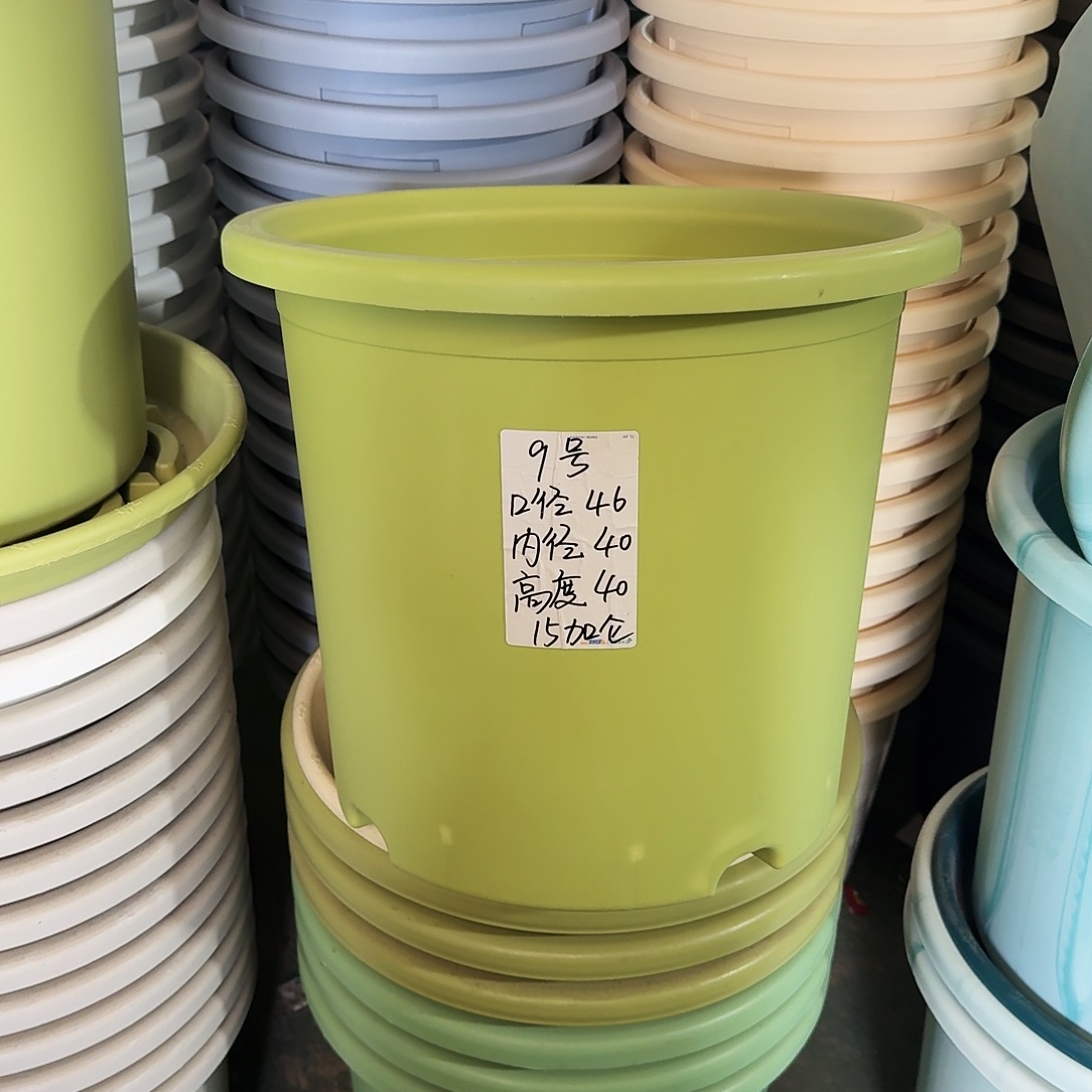 微瑕9#口径46无拖果绿3个