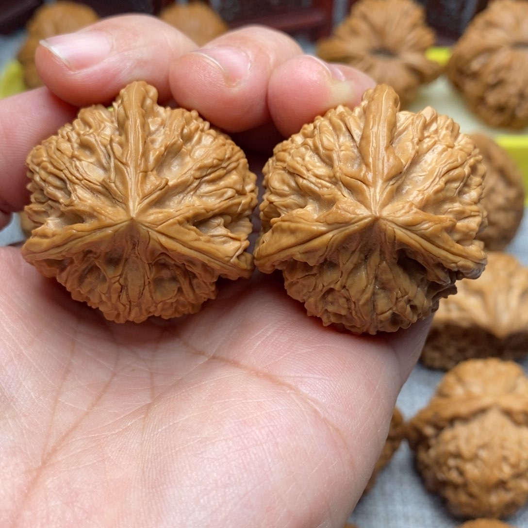 文玩核桃把件41全品御龙粗筋奔