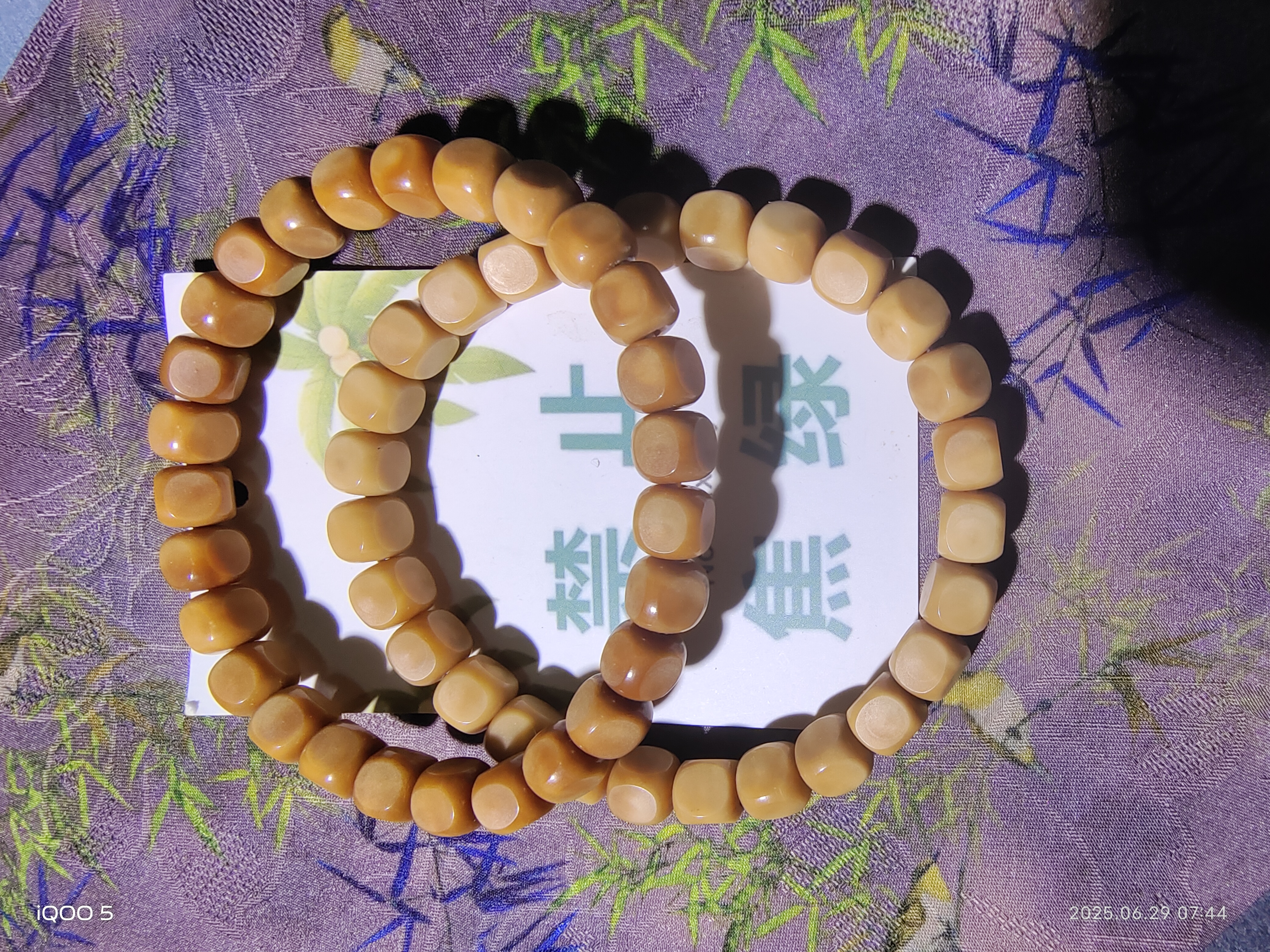 保真龙脊7+方糖有缩尺