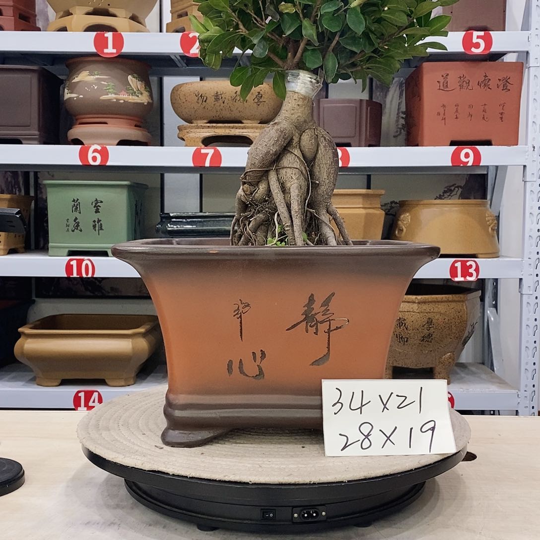 紫砂花盆紫砂花盆