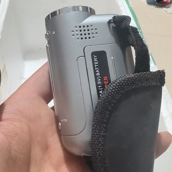 橄榄核其他@**@Gghghghghggg