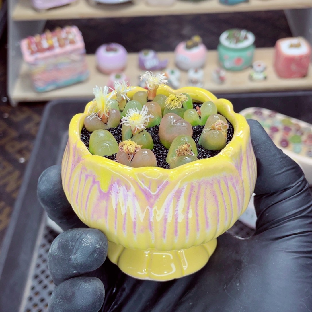 夜间零下地区拍保温箱w5015