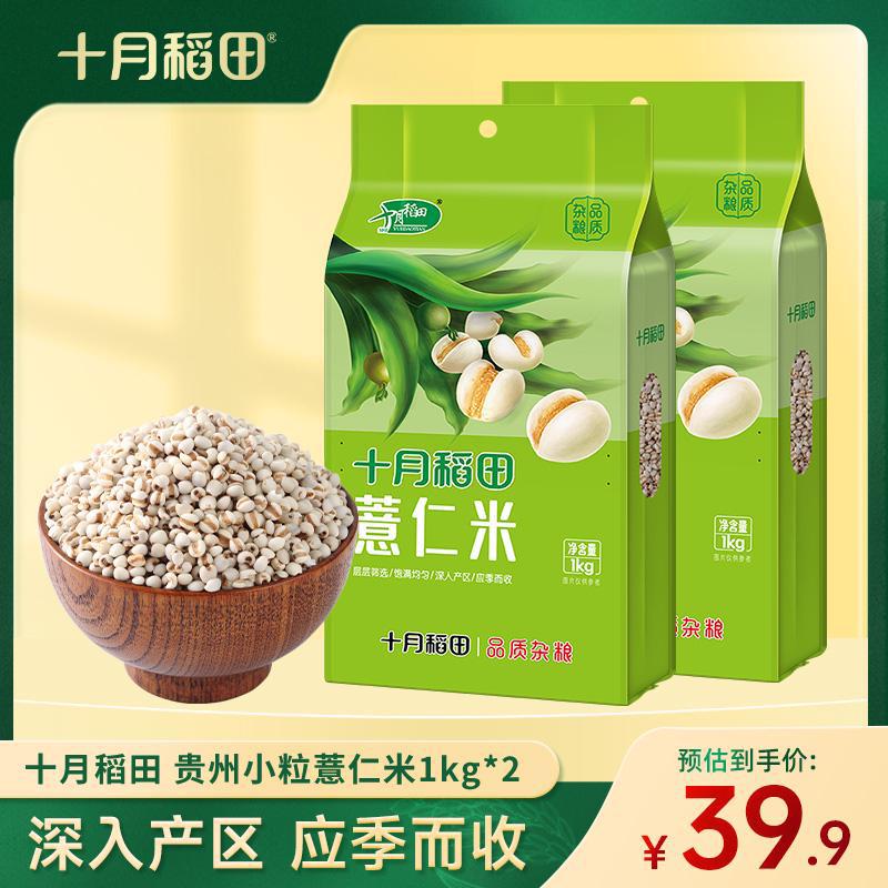 十月稻田 小粒薏仁米1kg*2袋官方店苡仁米煮粥煮水干净无杂真空装
