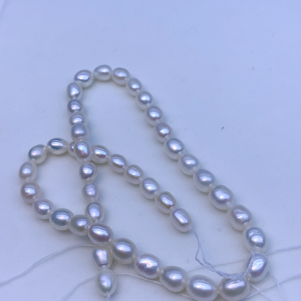 【闪购商品】淡水珍珠颈饰银S925镶嵌