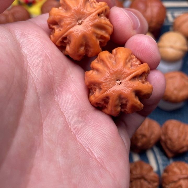 把件文玩核桃小霸王龙